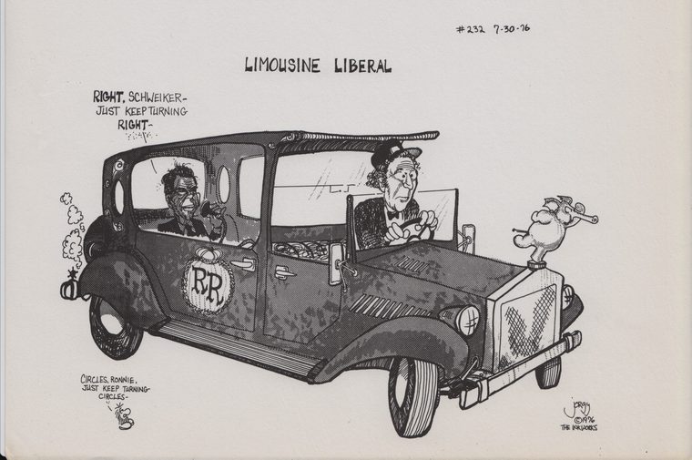 Limousine Liberal