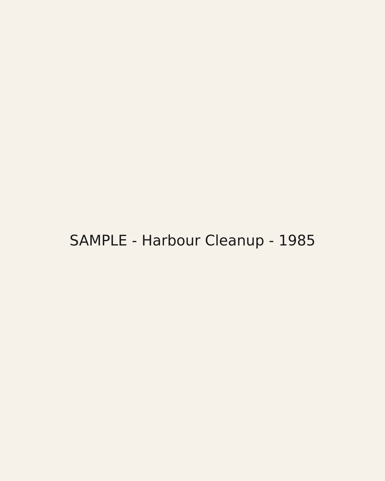 Harbour Cleanup